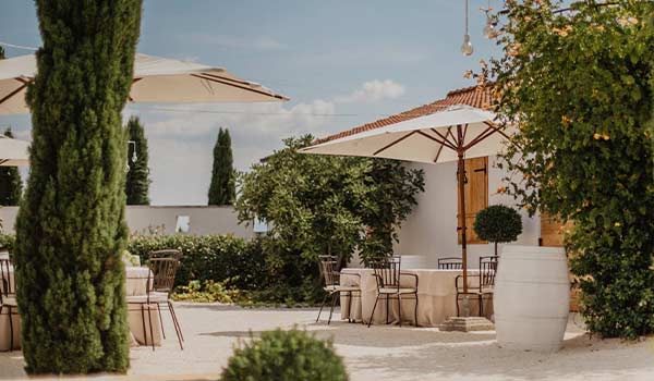 Day trip to BIBICh Winery by Split Transfers