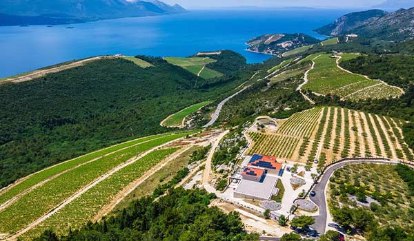 Day trip to Rizman Winery by Split Transfers